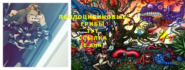 мет Елабуга