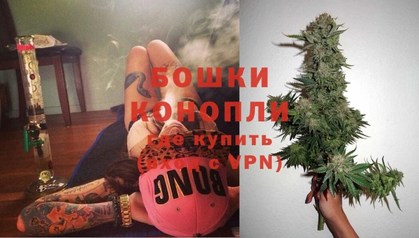 соль ск Ельня