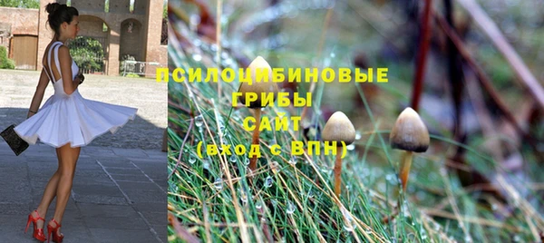 наркотики Заводоуковск