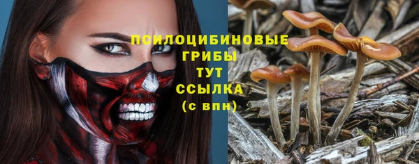 наркотики Заводоуковск
