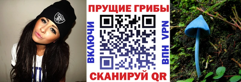 Галлюциногенные грибы GOLDEN TEACHER  Находка 